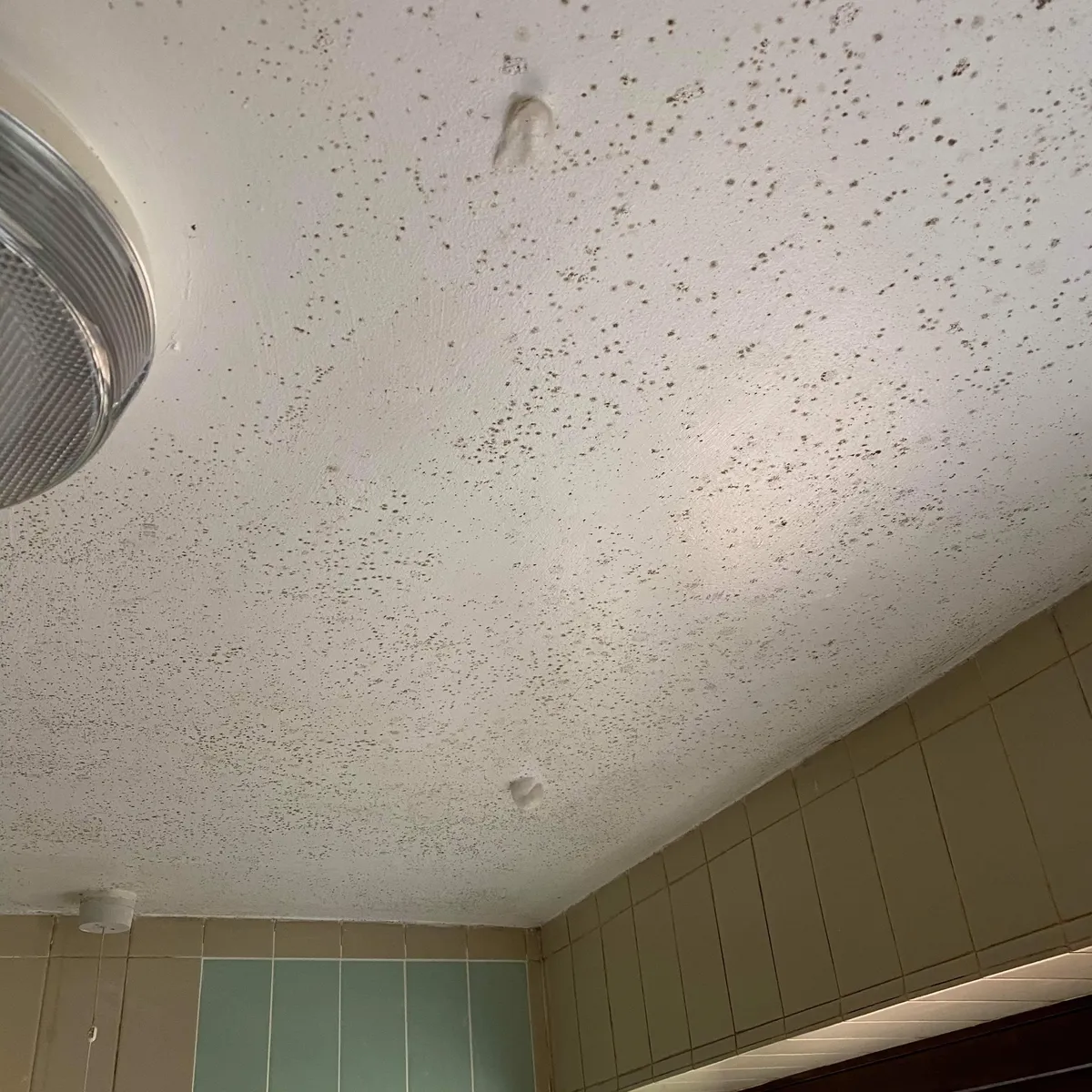 Internal mould on bathroom ceiling