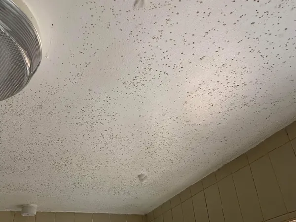 Internal mould on bathroom ceiling