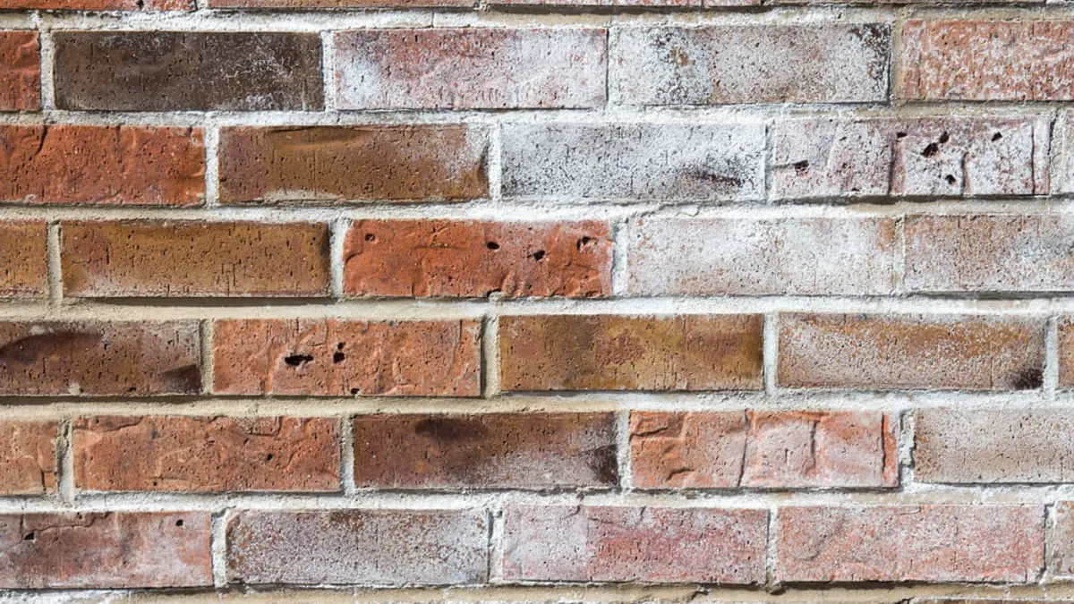 Efflorescence on brickwall