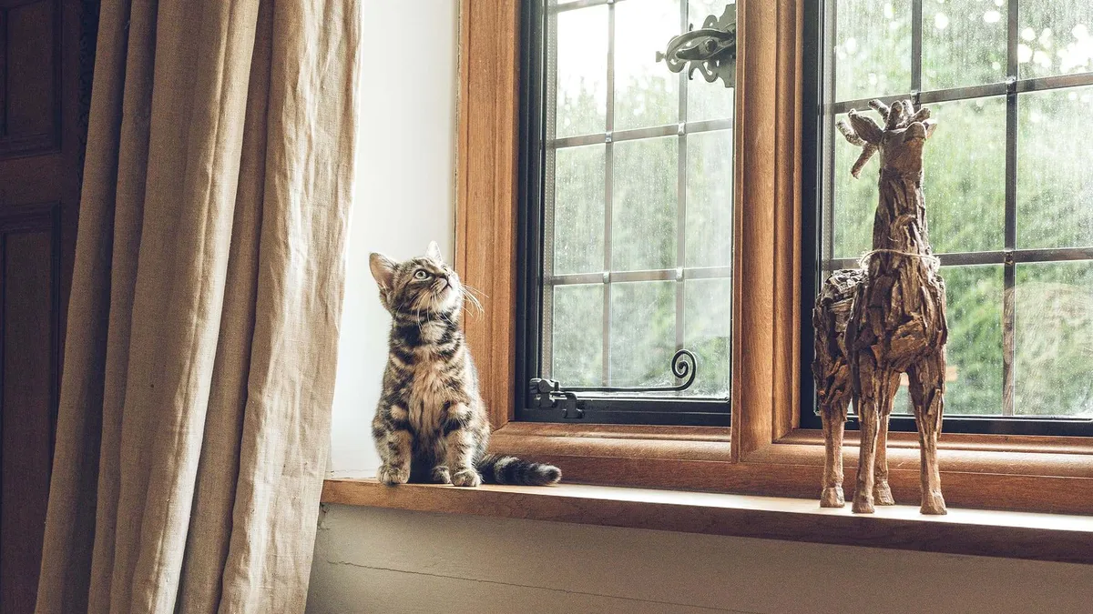 How to Pet Proof Your Home header