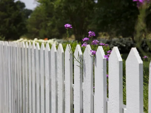 Painting a garden fence using white paint