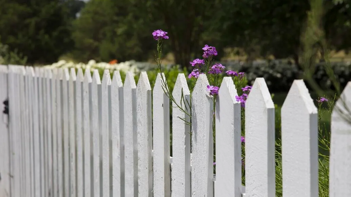 Painting a garden fence using white paint