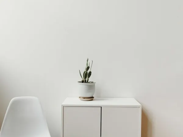 White emulsion paint